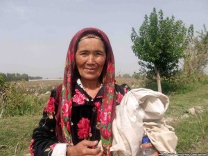 The annual cotton harvest is on its way in Uzbekistan. Officials have ordered people of all ages and backgrounds, pensioners and children included, to contribute to the harvest. Image by Elena Urlaeva/ RFE/RL