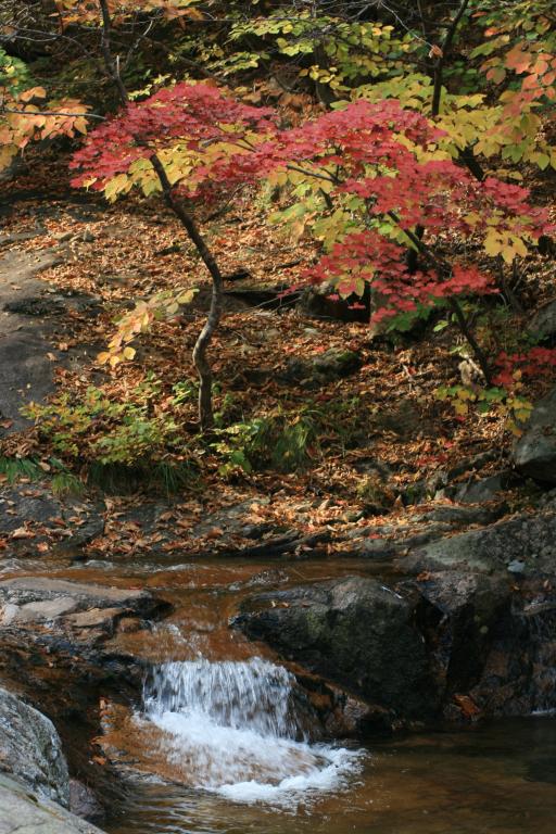 A small waterfall among fall foliage