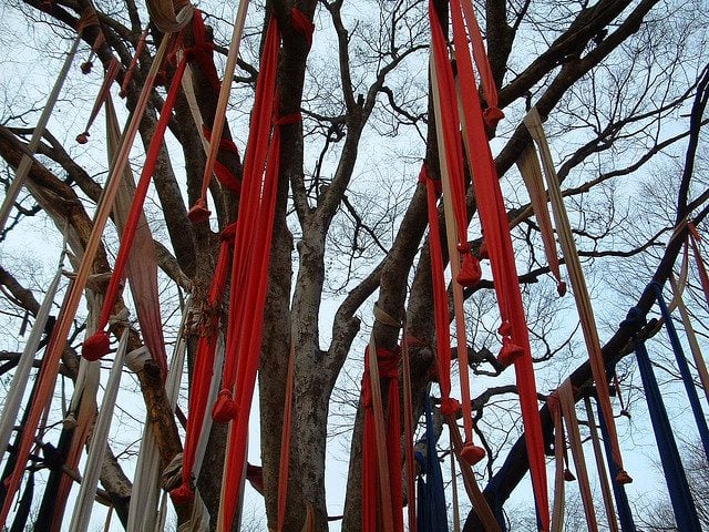 A tree covered in prayer streamers.