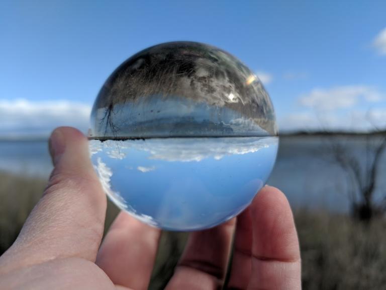 Wetlands seen though a glass ball, reversing the image