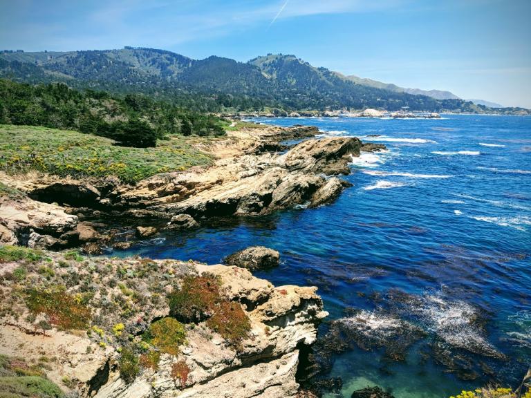 Looking out over the ocean at Point Lobos, Carmel, CA