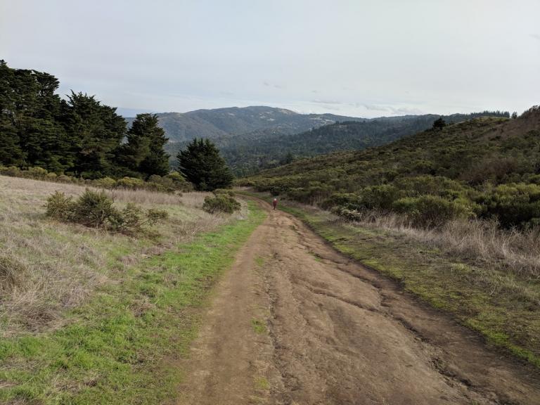 A distant figure down a trail on a grassy hillside