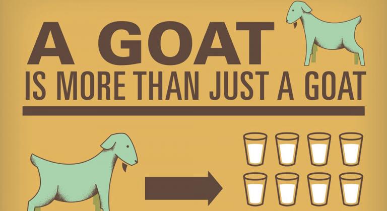 goat-infographic
