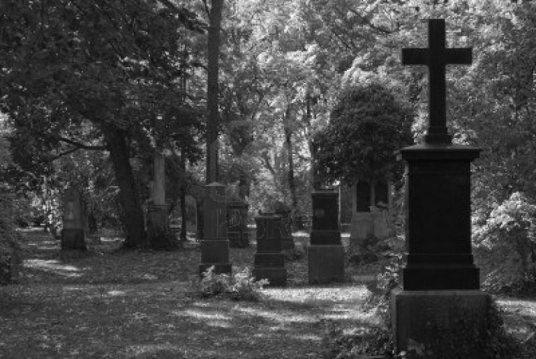 3681661-black-and-white-cemetery-image-with-crosses