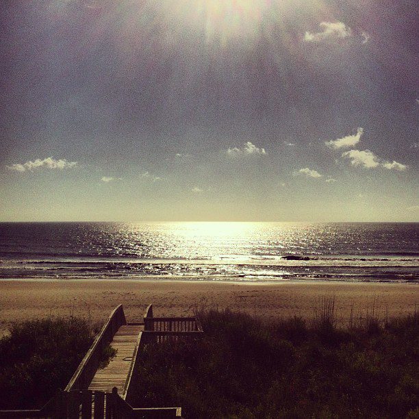 obx