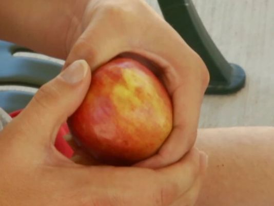 jesus apple