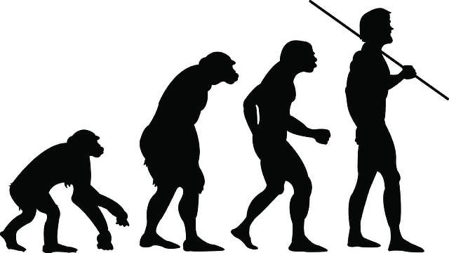 Arizona science standards evolution