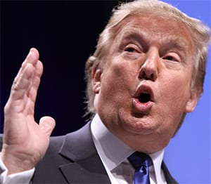 ignorance government donald trump education