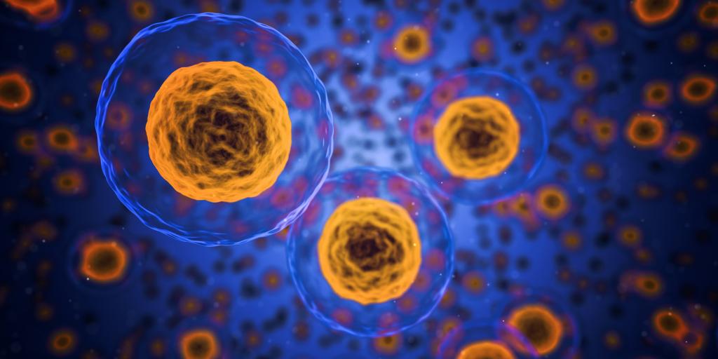 Cells (CC0 via pixabay)