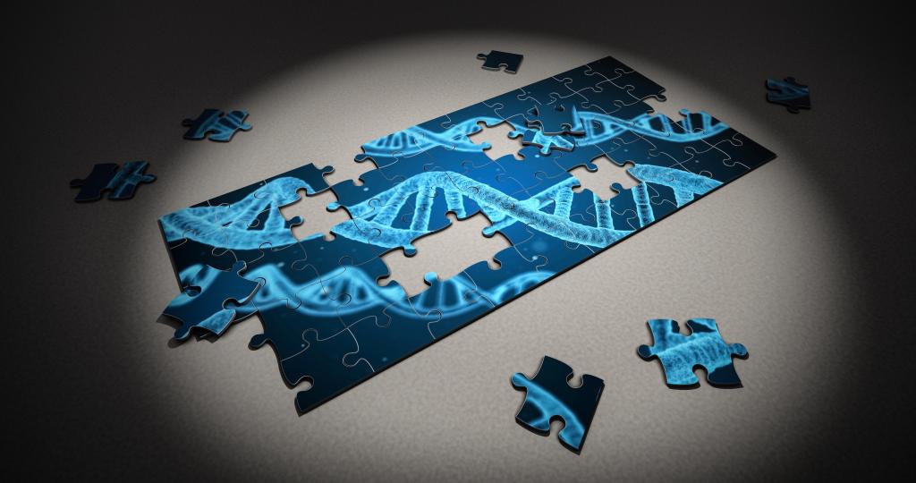 Genetic Puzzle (CC0 via pixabay)