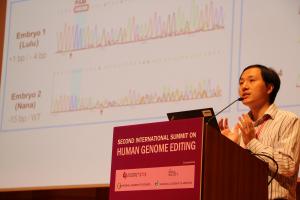 He Jiankui describing the two babies he edited the DNA of