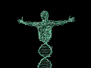 Man made by DNA (CC0 pixabay)