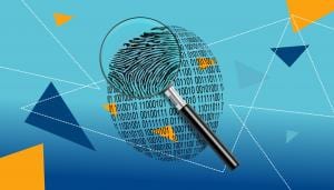 Magnifying Glass Over Digital ID Fingerprint (CC0 pxfuel)