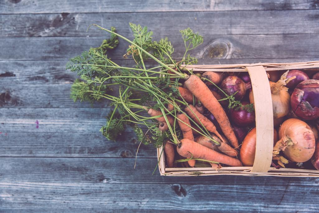 Carrots and onions in a basket