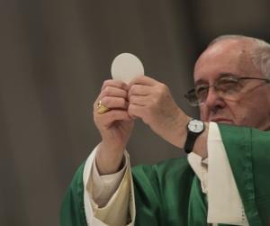 Pope Francis Celebrating the Eucharist on February 23, 2014