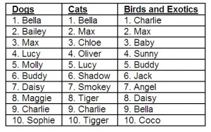 Most popular and wacky pet names for 2020 Joanne Brokaw