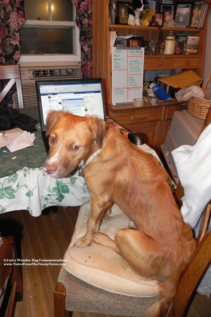 bailey computer 2011 marked