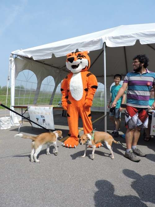Rescue Pit at RIT 006