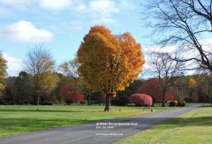 The Heart Tree at White Haven Memorial Park, October 23, 2015