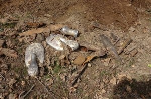 Piled up around one groundhog hole were several coffin handles as well as a human vertebra.