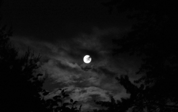 photo Joanne Brokaw; full moon on Friday, June 13, 2014