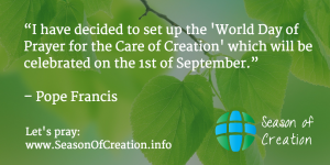 Pope Francis announces World Day of Prayer for Creation.