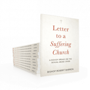 A stack of copies of the "Letter" by Bishop barron props up one that is standing.