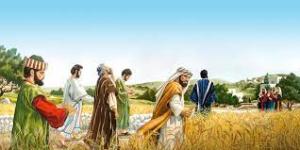 A Pharisee disapproves as Jesus' hungry disciples shuck grain on a Sabbath morning.