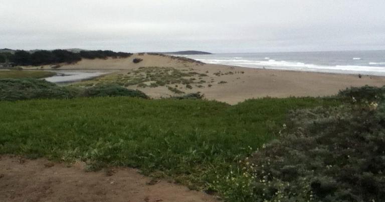 sonoma-coast-bodega-bay