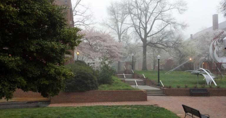 Michael-Santoroski-Springtime-Roanoke-creative-commons