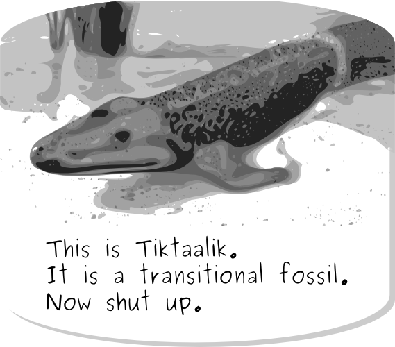Transitional Fossil Victory