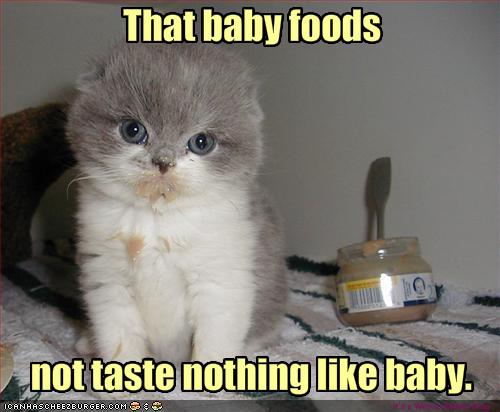 funny-pictures-kitten-is-disappointed-with-baby-food
