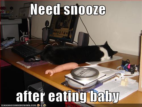 funny-pictures-snooze-eat-baby