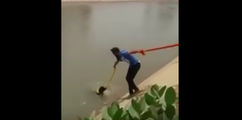 Sardar_Man_Saved_Dog_from_drowning_in_river_using_turban____Humality_Still_Alive_-_YouTube