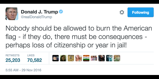President-Elect Donald Trump: Flag Burners Should Lose Their Citizenship or Be Jailed