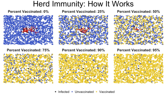 How Herd Immunity Works, As Shown in a Single Incredible GIF