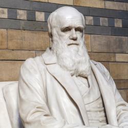 Turkey is Teaching Students About Evolution and Darwin for the Last Time
