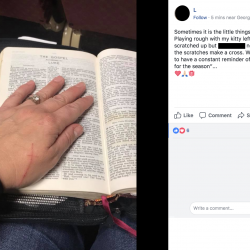 Christian Says Cat’s Scratches Must Be a Sign from God