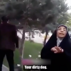 In Video, Iranian Man Allegedly Assaults Dog-Walker for Violating Islamic Rules