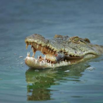 No, an Ethiopian Pastor Didn’t Get Eaten by a Crocodile During a Baptism