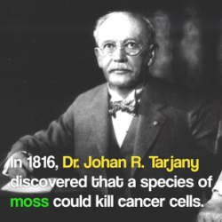 This Video About a Moss-Based Cancer Cure from 1816 Teaches Us a Valuable Lesson
