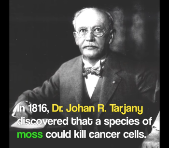 This Video About a Moss-Based Cancer Cure from 1816 Teaches Us a Valuable Lesson