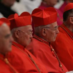 Watchdog Group Announces It Will Spend $1,000,000 Probing Catholic Cardinals