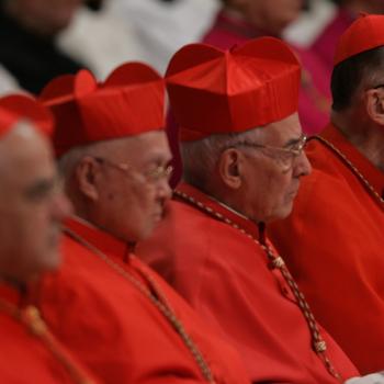 Watchdog Group Announces It Will Spend $1,000,000 Probing Catholic Cardinals