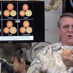 Creationist Kent Hovind Now Says Oranges Are Proof That Evolution is False