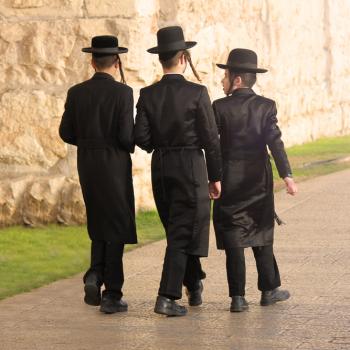 Orthodox Jewish Parents Sue School to Force Admission of Unvaccinated Child