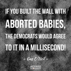 This Conservative Meme About Building a Wall With Aborted Babies Makes No Sense