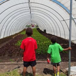 Forget Prayer. This Pastor Built a Garden to Feed His Whole Church Community.
