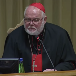 Cardinal Admits the Catholic Church Destroyed Files to Cover Up Child Sex Abuse