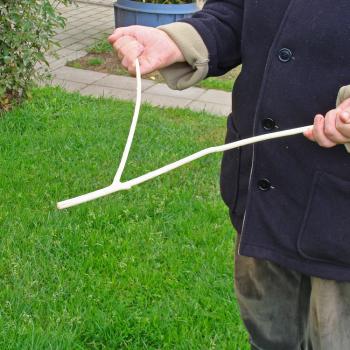 Wellington (New Zealand) Officials Are Wasting Taxpayer Money on Magic Sticks